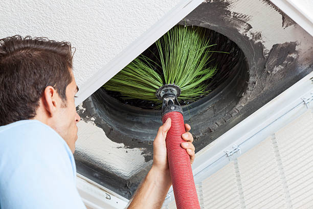 Best Ventilation Cleaning Services  in Walford, IA